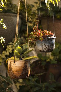 Curious ceramic flower pots on a garden.