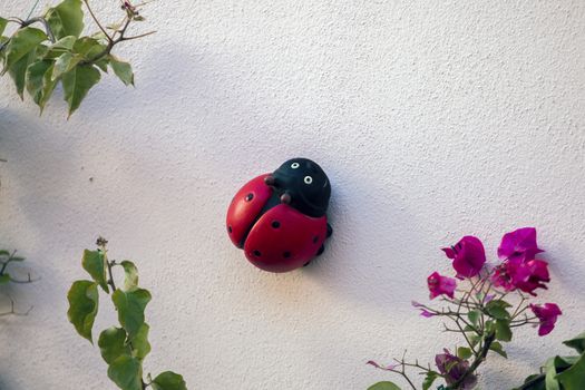 Cute ceramic ladybird insect and bougainvillea plant.