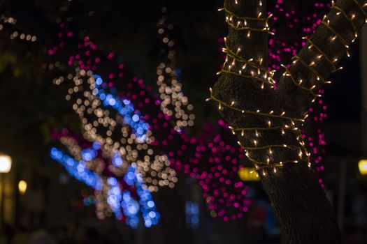 Beautiful view of christmas themed wrapped trees with colorful decorative lights.