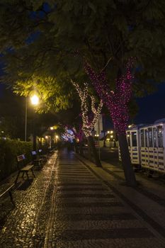 Beautiful view of christmas themed wrapped trees with colorful decorative lights.