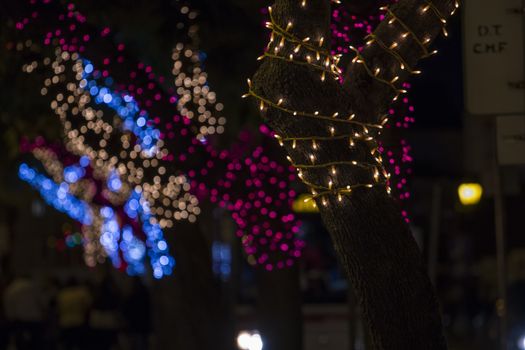 Beautiful view of christmas themed wrapped trees with colorful decorative lights.