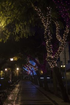 Beautiful view of christmas themed wrapped trees with colorful decorative lights.