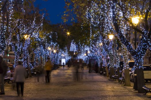 Beautiful view of christmas themed wrapped trees with decorative lights in Olhao city, Portugal.