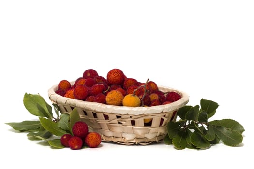 Close up view of strawberry tree (Arbutus Unedo) fruit isolated in white background.