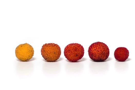Close up view of strawberry tree (Arbutus Unedo) fruit isolated in white background.
