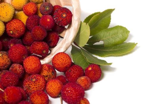 Close up view of strawberry tree (Arbutus Unedo) fruit isolated in white background.