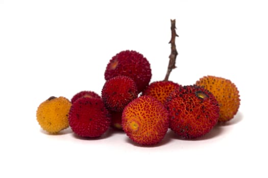 Close up view of strawberry tree (Arbutus Unedo) fruit isolated in white background.