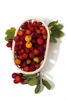 Close up view of strawberry tree (Arbutus Unedo) fruit isolated in white background.