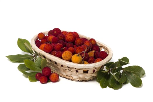 Close up view of strawberry tree (Arbutus Unedo) fruit isolated in white background.