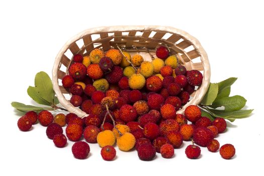 Close up view of strawberry tree (Arbutus Unedo) fruit isolated in white background.