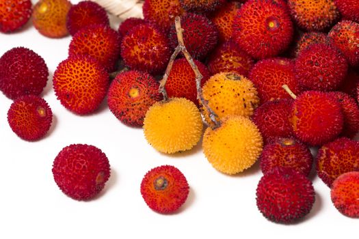 Close up view of strawberry tree (Arbutus Unedo) fruit isolated in white background.