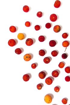 Close up view of strawberry tree (Arbutus Unedo) fruit isolated in white background.