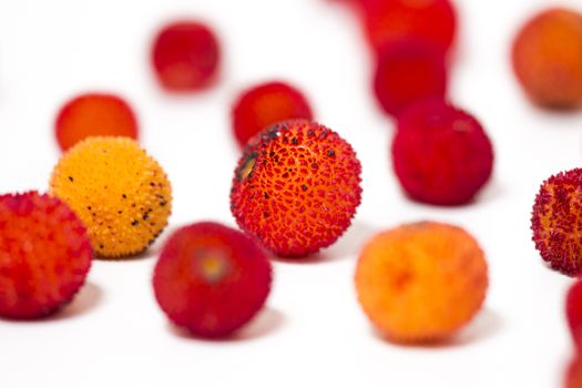 Close up view of strawberry tree (Arbutus Unedo) fruit isolated in white background.