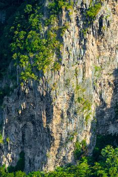 Sheer rock is photographed from a close distance