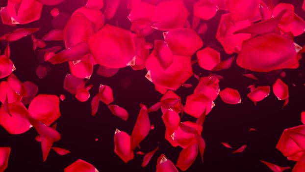 Falling Rose Petals on black background. 3d rendering