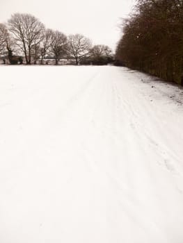 landscape field covered in snow with white sky winter trees branches; essex; england; uk