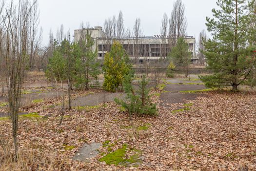 Abandoned buildings in overgrown ghost city Pripyat near Chernobyl nuclear power plant in Ukraine.