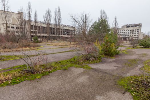 Abandoned buildings in overgrown ghost city Pripyat near Chernobyl nuclear power plant in Ukraine.