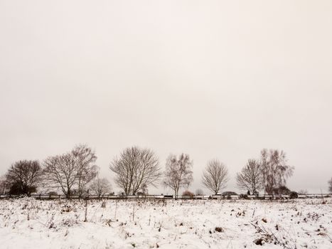 snow covered field outside line of trees and fence landscape side view; essex; england; uk