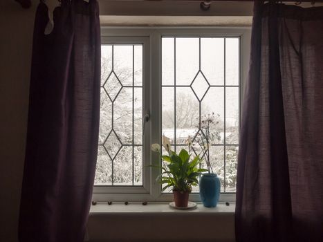 inside curtains window house room windowsill plant blue vase bedroom student; essex; england; uk