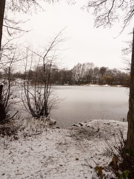 lakeside snow covered trees frozen lake scene winter december; essex; england; uk