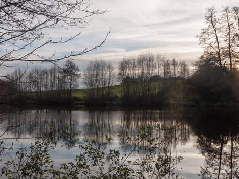 gamekeeper's pond winter autumn trees sunlight lake bare branches landscape; essex; england; uk