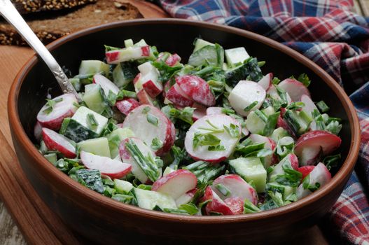 Salad with pieces of radish and cucumber, herbs and green onions, dressed  yogurt. Horizontal shot.

Foreground. 
