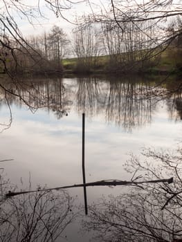 gamekeeper's pond furze hills mistley forest lake water surface pole winter; essex; england; uk