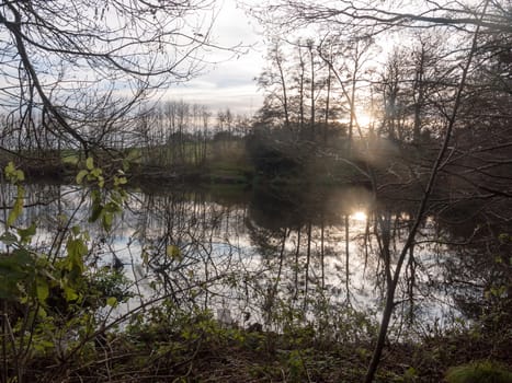 gamekeeper's pond winter autumn trees sunlight lake bare branches landscape; essex; england; uk