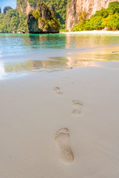 footprints in the sand leading to the sea close up