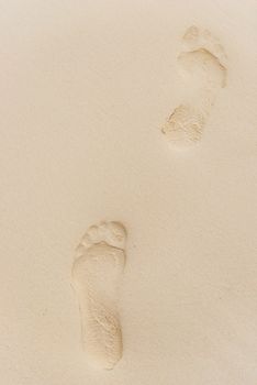 top view of footprints on wet sand close up