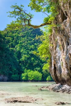 tropical beautiful scenery view of the high cliff and the sea at low tide