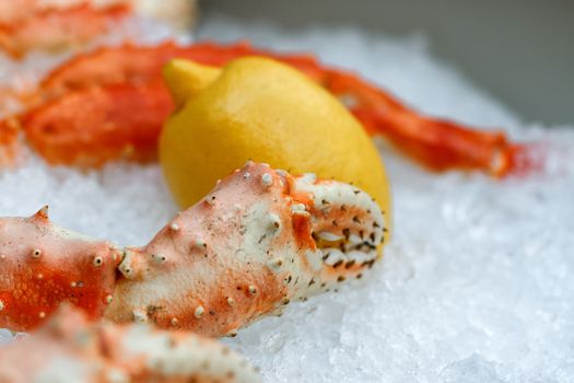 Fresh frozen lobster on ice with lemon at market