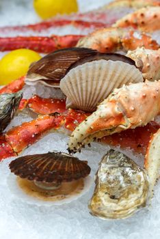 Seafood on ice at the fish market