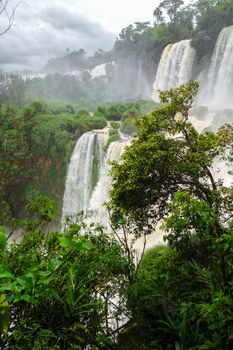 iguazu falls national park. tropical waterfalls and rainforest landscape