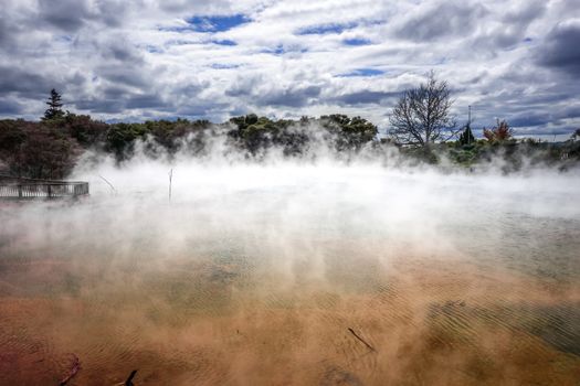 Hot springs lake in Rotorua park, New Zealand