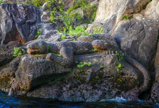 Traditional Maori rock carvings, Lizard, Taupo Lake, New Zealand