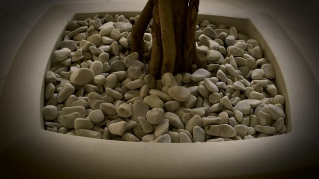 Flowerpot with small rocks and tree
