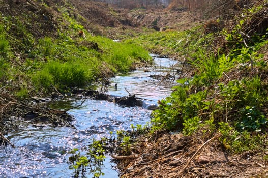 Small river stream flowing, Ledinci, Serbia