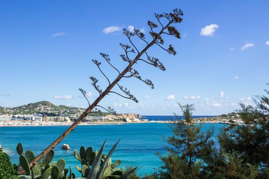 Sea view of Ibizza island from top to coastal blue waters