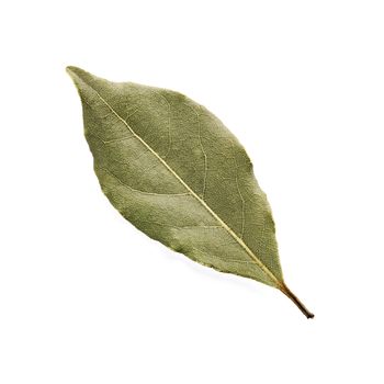 Aromatic bay leaf isolated on a white background.