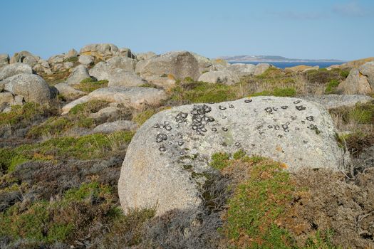 Beautiful landscape of Galicia, coastline close to O Grove, Spain, Europe