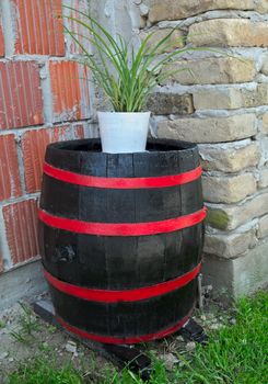Old restored wooden barrel, with new looks