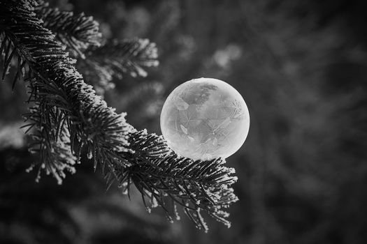 Frozen soap ball in the alps