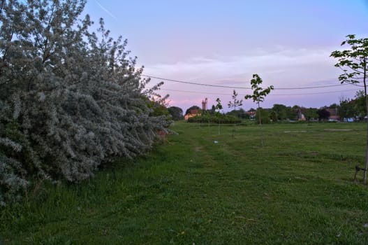 Countryside meadow sunset