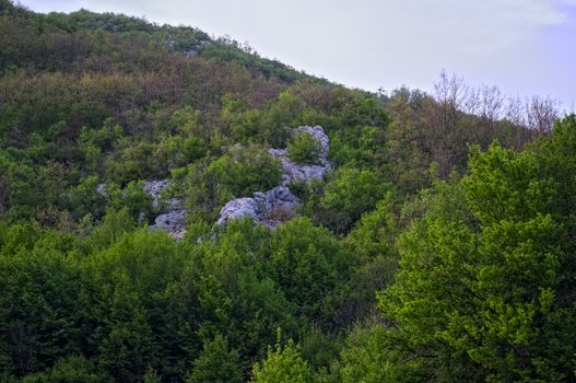 Dalmatia rocky hills landscape