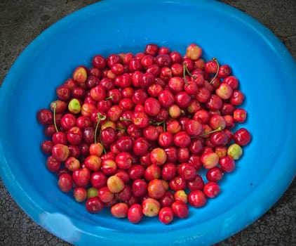 Cherries, washed and ready for eating