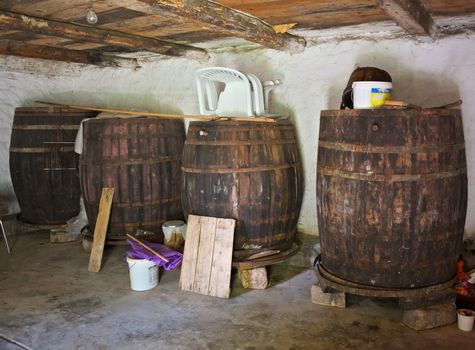 Old vine barrels in cellar