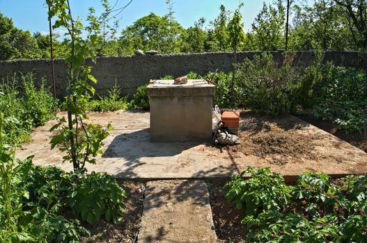 Water well and small garden around it