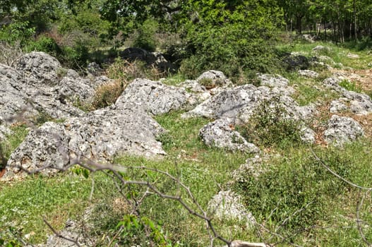 Dalmatian dry rocky landscape at spring time